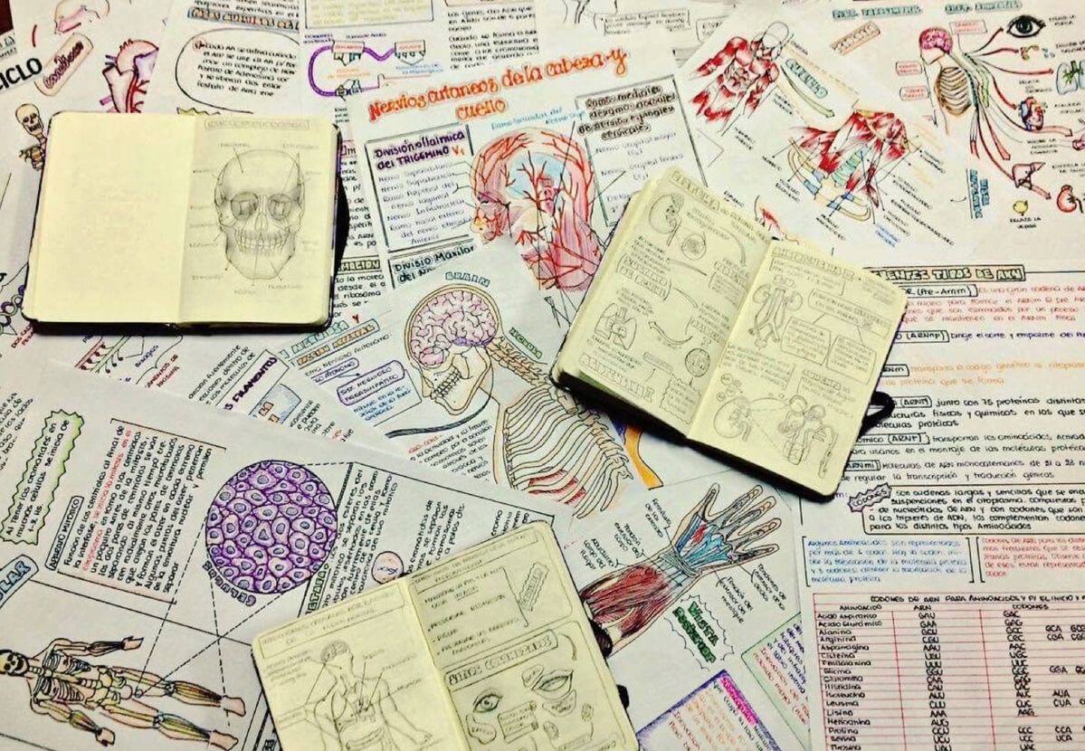 overview bums