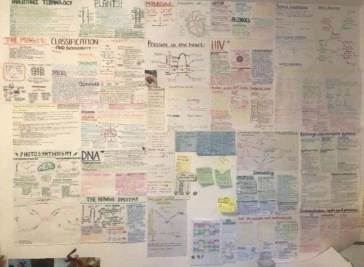 how to annotate your anatomy books